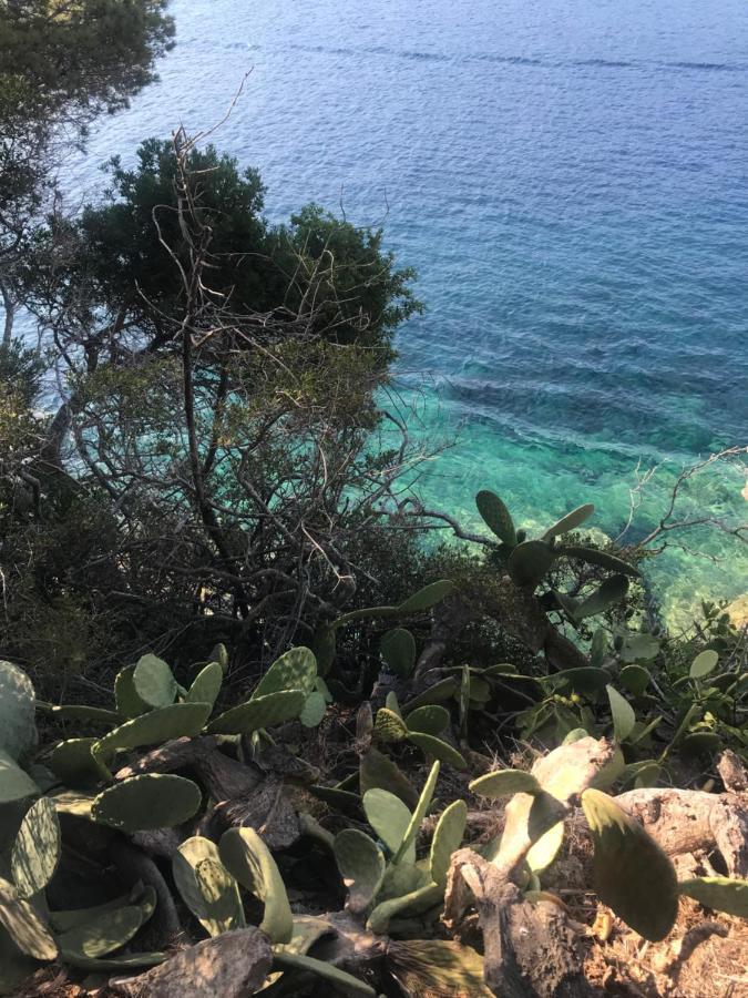 Il Polpoleo In Porto Azzurro Isola D'Elba公寓 外观 照片